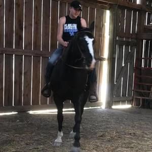 Meet your Posher, Rodney